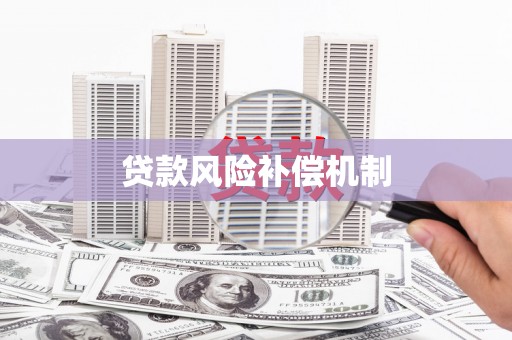 坦洲贷款风险补偿机制