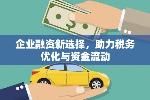 坦洲企业融资新选择，助力税务优化与资金流动