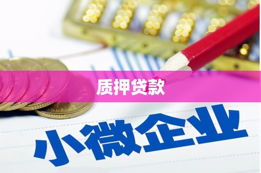 坦洲质押贷款