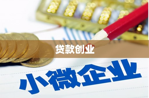 坦洲贷款创业