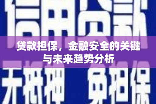 坦洲贷款担保，金融安全的关键与未来趋势分析