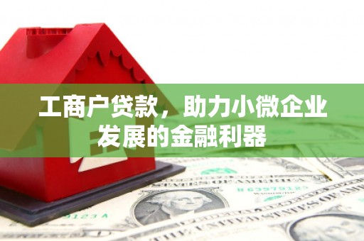 坦洲工商户贷款，助力小微企业发展的金融利器