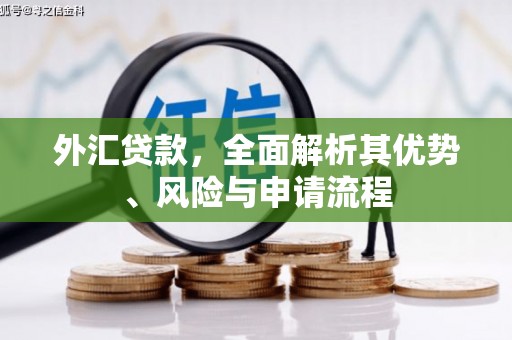 坦洲外汇贷款，全面解析其优势、风险与申请流程
