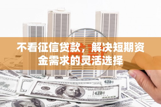坦洲不看征信贷款，解决短期资金需求的灵活选择