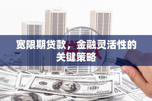 坦洲宽限期贷款，金融灵活性的关键策略