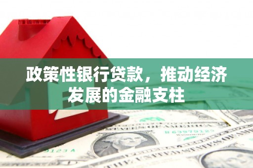 坦洲政策性银行贷款，推动经济发展的金融支柱
