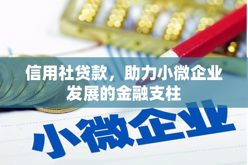 坦洲信用社贷款，助力小微企业发展的金融支柱