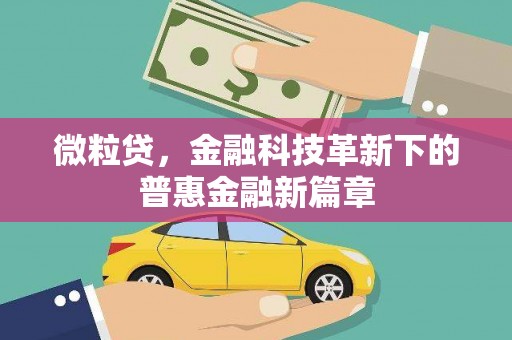 坦洲微粒贷，金融科技革新下的普惠金融新篇章