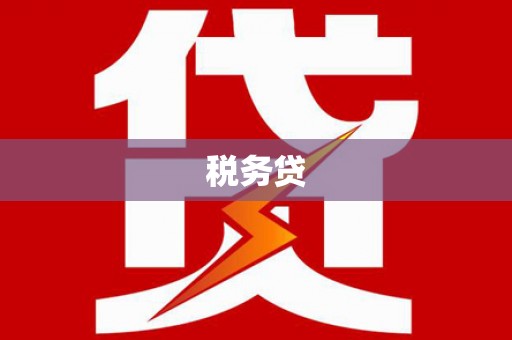 坦洲税务贷