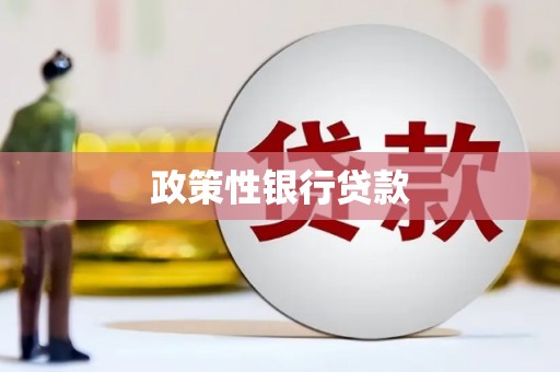 坦洲政策性银行贷款