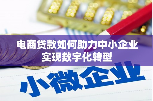 坦洲电商贷款如何助力中小企业实现数字化转型