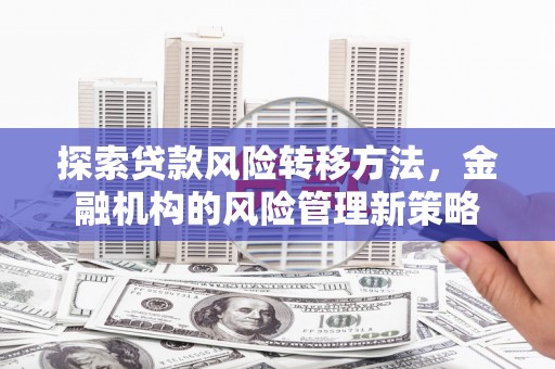 坦洲探索贷款风险转移方法，金融机构的风险管理新策略