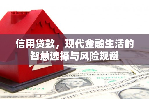 坦洲信用贷款，现代金融生活的智慧选择与风险规避