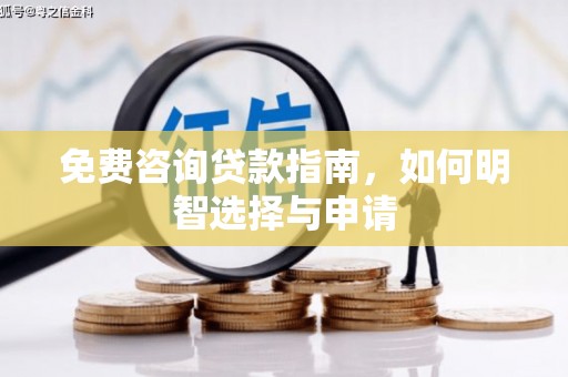 坦洲免费咨询贷款指南，如何明智选择与申请