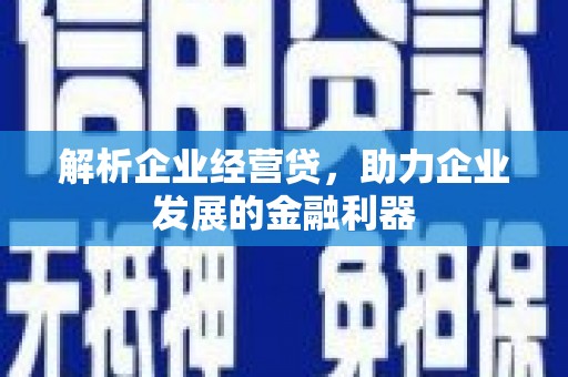 坦洲解析企业经营贷，助力企业发展的金融利器
