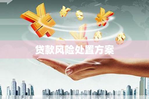 坦洲贷款风险处置方案