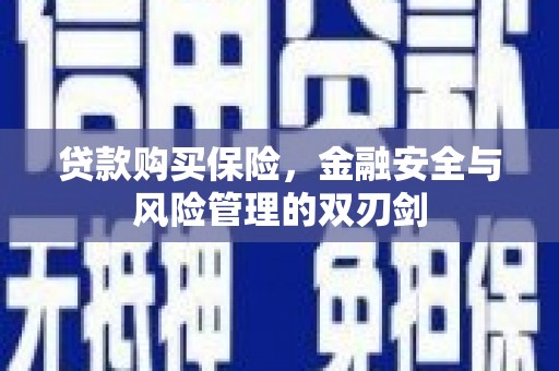 坦洲贷款购买保险，金融安全与风险管理的双刃剑