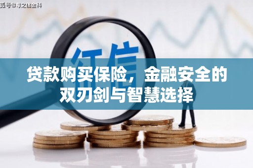 坦洲贷款购买保险，金融安全的双刃剑与智慧选择