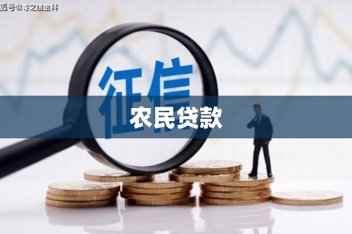 坦洲农民贷款
