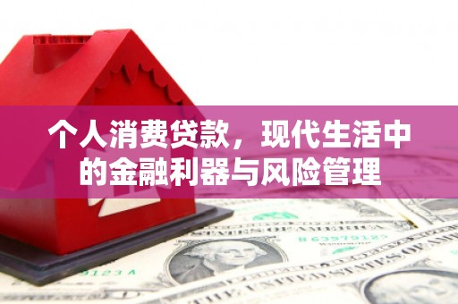 坦洲个人消费贷款，现代生活中的金融利器与风险管理