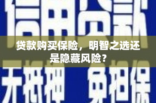 坦洲贷款购买保险，明智之选还是隐藏风险？