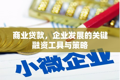 坦洲商业贷款，企业发展的关键融资工具与策略