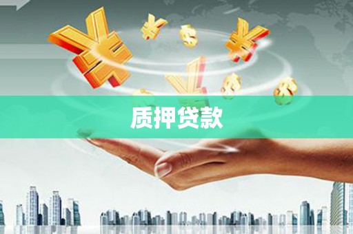 坦洲质押贷款
