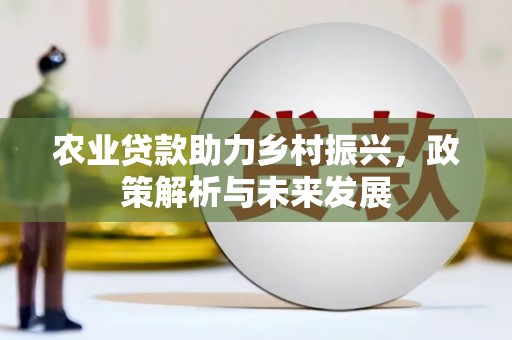 坦洲农业贷款助力乡村振兴，政策解析与未来发展
