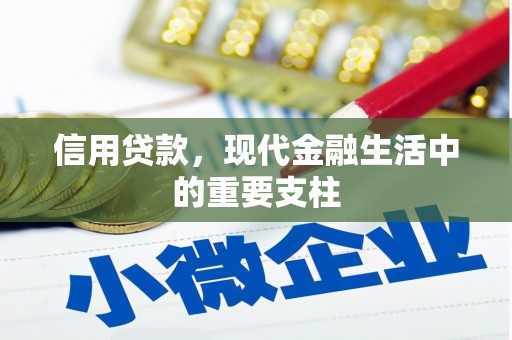 坦洲信用贷款，现代金融生活中的重要支柱