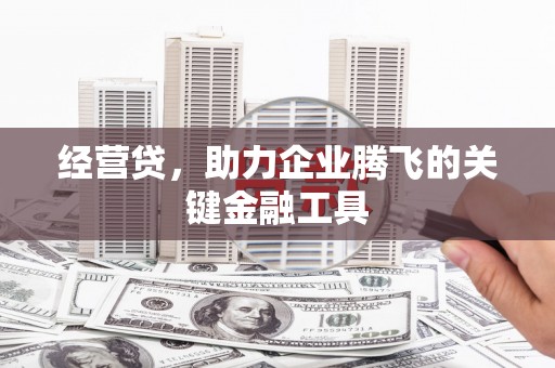 坦洲经营贷，助力企业腾飞的关键金融工具