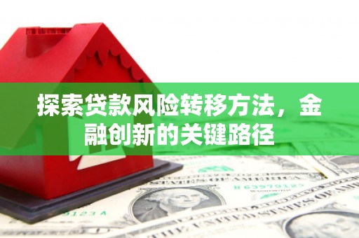 坦洲探索贷款风险转移方法，金融创新的关键路径