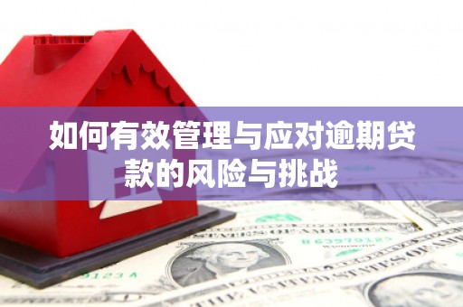 坦洲如何有效管理与应对逾期贷款的风险与挑战