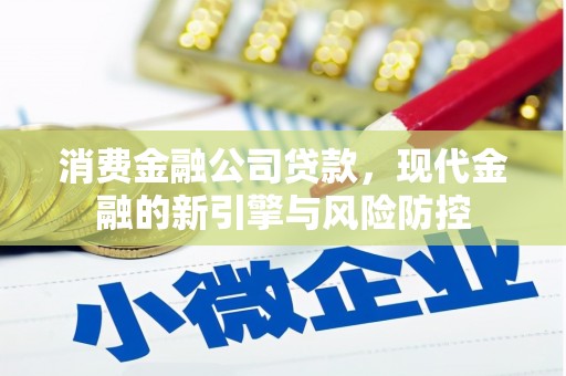 坦洲消费金融公司贷款，现代金融的新引擎与风险防控