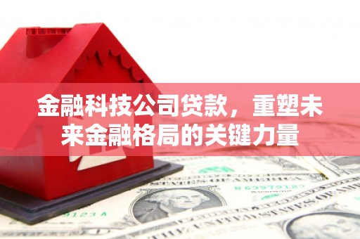 坦洲金融科技公司贷款，重塑未来金融格局的关键力量