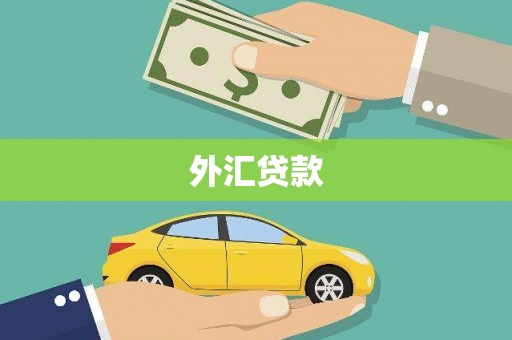 坦洲外汇贷款