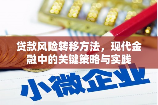 坦洲贷款风险转移方法，现代金融中的关键策略与实践