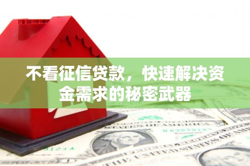 坦洲不看征信贷款，快速解决资金需求的秘密武器