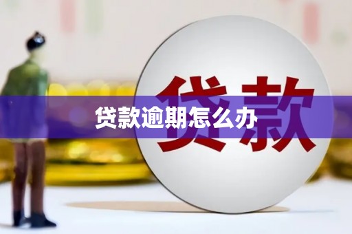 坦洲贷款逾期怎么办