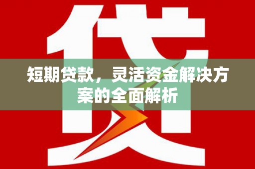 坦洲短期贷款，灵活资金解决方案的全面解析