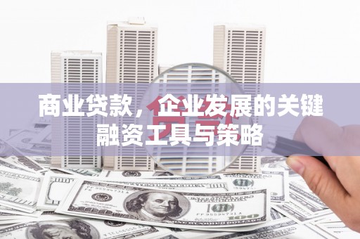 坦洲商业贷款，企业发展的关键融资工具与策略