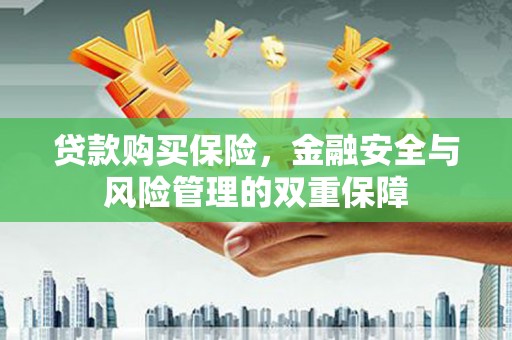 坦洲贷款购买保险，金融安全与风险管理的双重保障