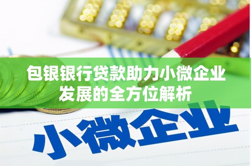 坦洲包银银行贷款助力小微企业发展的全方位解析