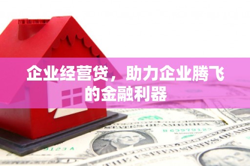 坦洲企业经营贷，助力企业腾飞的金融利器