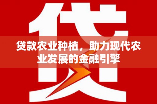 坦洲贷款农业种植，助力现代农业发展的金融引擎