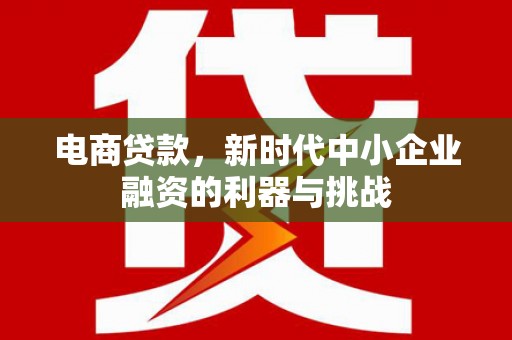坦洲电商贷款，新时代中小企业融资的利器与挑战