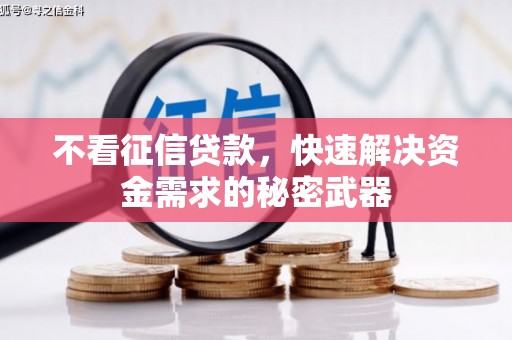 坦洲不看征信贷款，快速解决资金需求的秘密武器