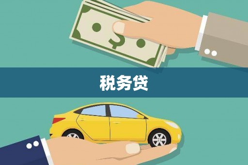 坦洲税务贷