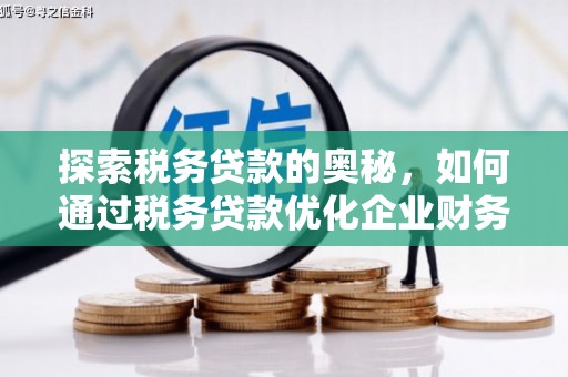 坦洲探索税务贷款的奥秘，如何通过税务贷款优化企业财务