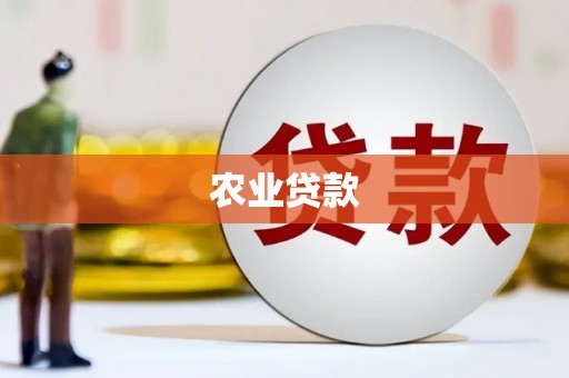 坦洲农业贷款