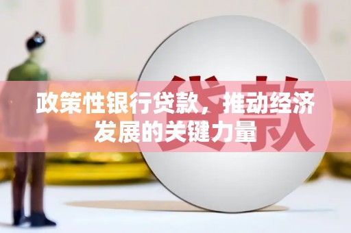 坦洲政策性银行贷款，推动经济发展的关键力量
